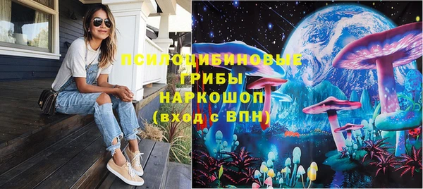 ешки Арсеньев