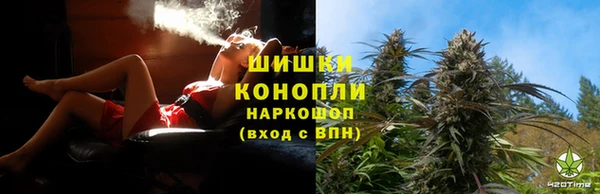 ешки Арсеньев