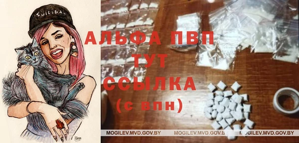 ешки Арсеньев